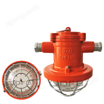 铸钢款 圆形 矿用隔爆型LED支架灯吊装