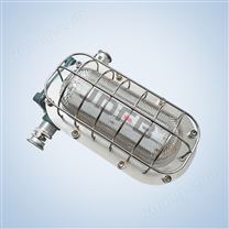 DGC22/127矿用隔爆型支架灯