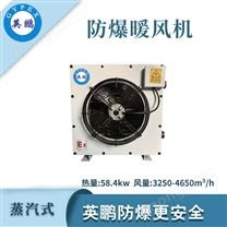 英鵬防爆蒸汽暖風(fēng)機(jī)-58.4KW