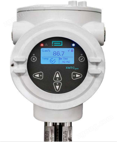沼氣行業(yè)GE XMTCpro二元氣體分析儀多少錢
